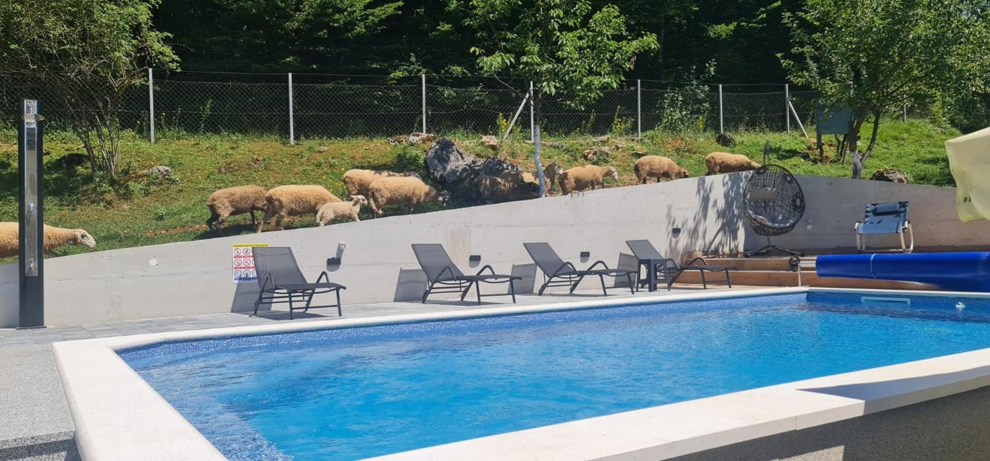 הוילה אוטוצאץ Holiday House Marija מראה חיצוני תמונה